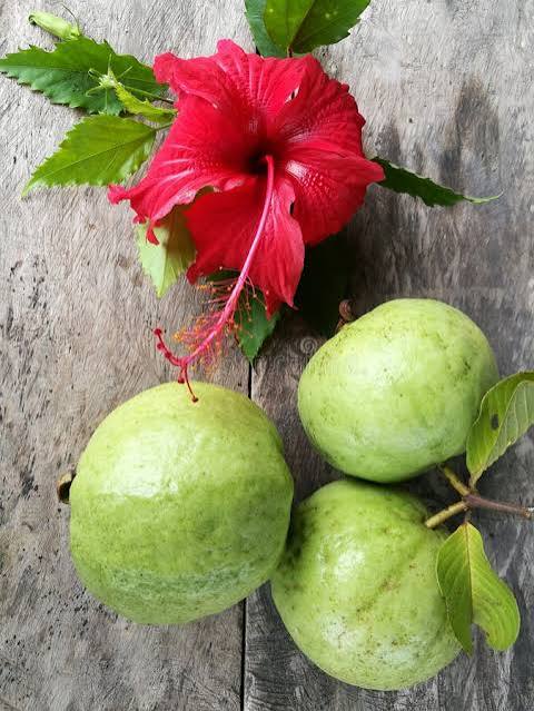 Fresh Guava & Hibiscus